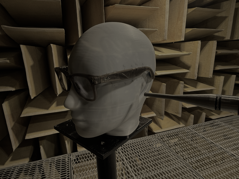 head with glasses dark